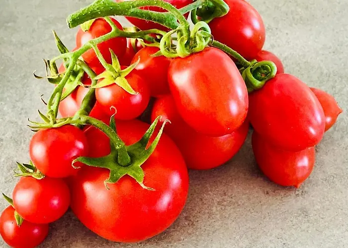 Attico Paradiso * 나폴리