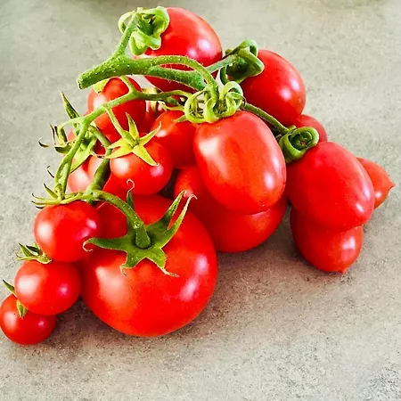 Attico Paradiso * Νάπολη